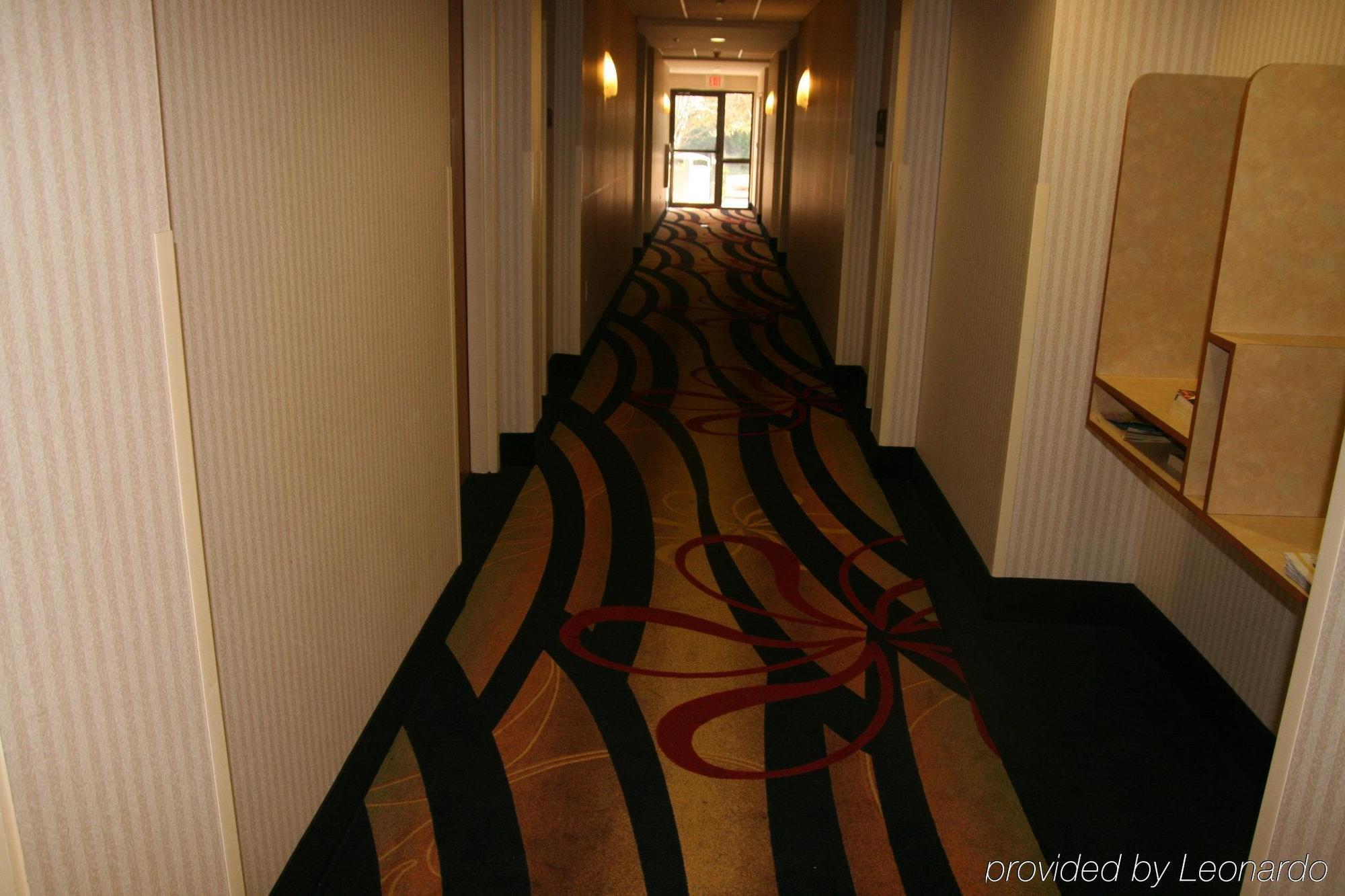Holiday Inn Express Hotel & Suites Tampa-Anderson Road-Veterans Exp By Ihg West Chase Interior photo